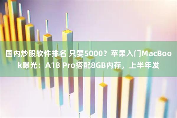 国内炒股软件排名 只要5000？苹果入门MacBook曝光：A18 Pro搭配8GB内存，上半年发